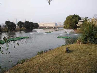 宁波某公园曝气浮岛