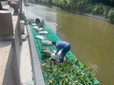 温州某地浮动湿地安装